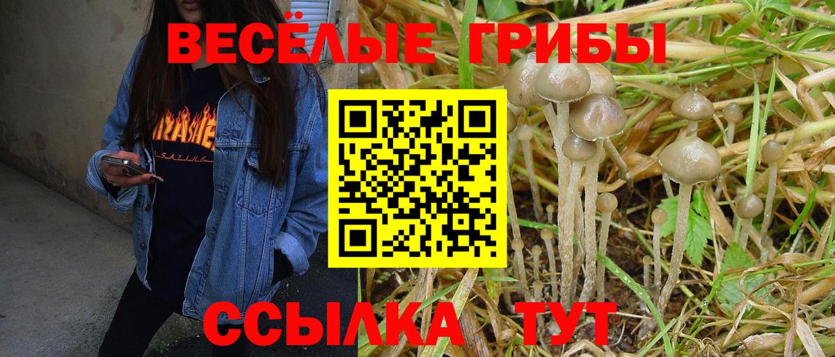 наркошоп  Вход с VPN  Магадан  Псилоцибиновые грибы Psilocybine cubensis  Псилоцибиновые грибы мухоморы 
