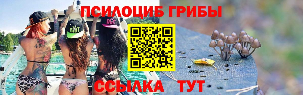 Галлюциногенные грибы Psilocybine cubensis Магадан